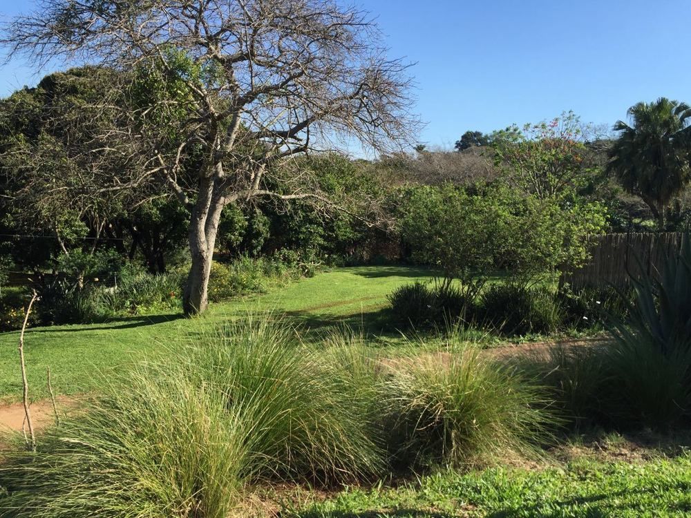 Ngoye Lodge Mtunzini Buitenkant foto